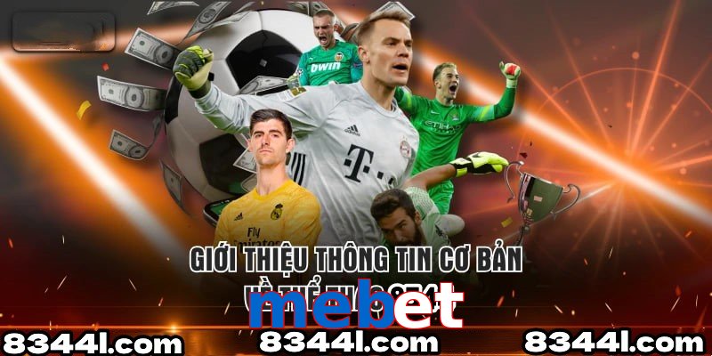 Giới Thiệu Thông Tin Cơ Bản Về Chuyên Mục Thể Thao mebet