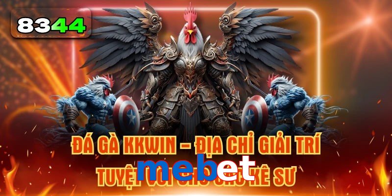Xu Hướng Đá Gà mebet Hấp Dẫn Không Thể Bỏ Lỡ